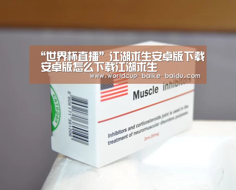 2026世界杯赛程