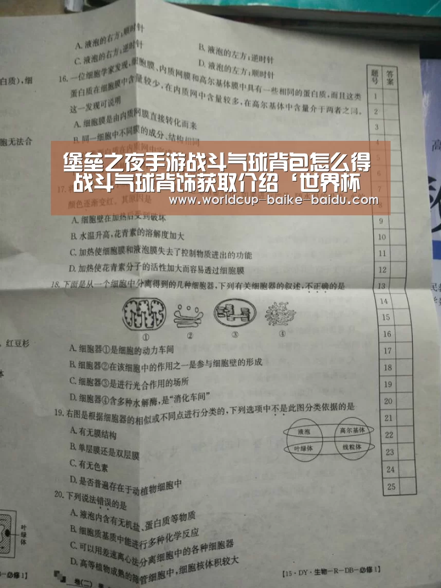 2026世界杯赛程