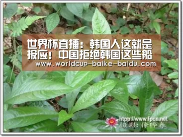 世界杯直播:韩国人这就是报应!中国拒绝韩国这些船只入港了(图3) 2026世界杯赛程