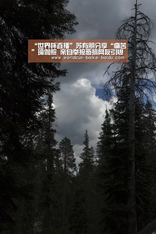“世界杯直播”苏有朋分享“痛苦”瑜伽照 亲自举报恶搞网友引爆笑(图3) 2026世界杯赛程