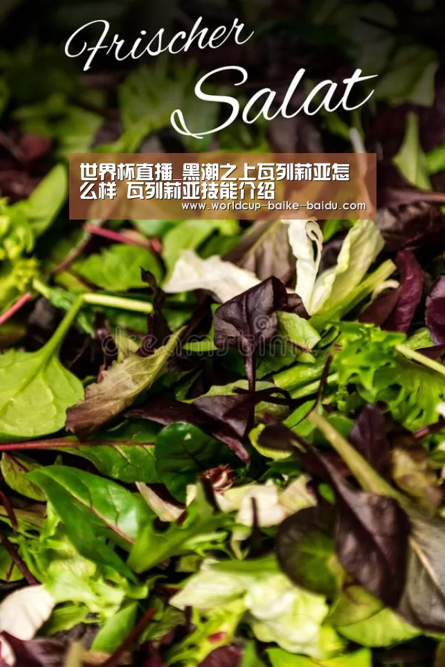 世界杯直播