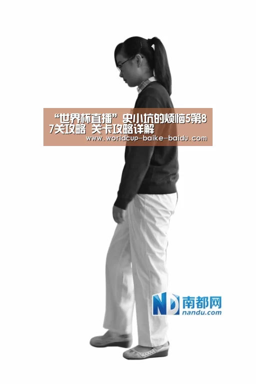世界杯直播