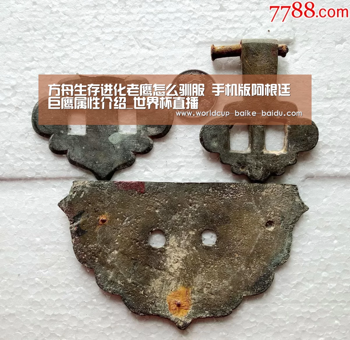 方舟生存进化老鹰怎么驯服 手机版阿根廷巨鹰属性介绍_世界杯直播(图2) 世界杯直播