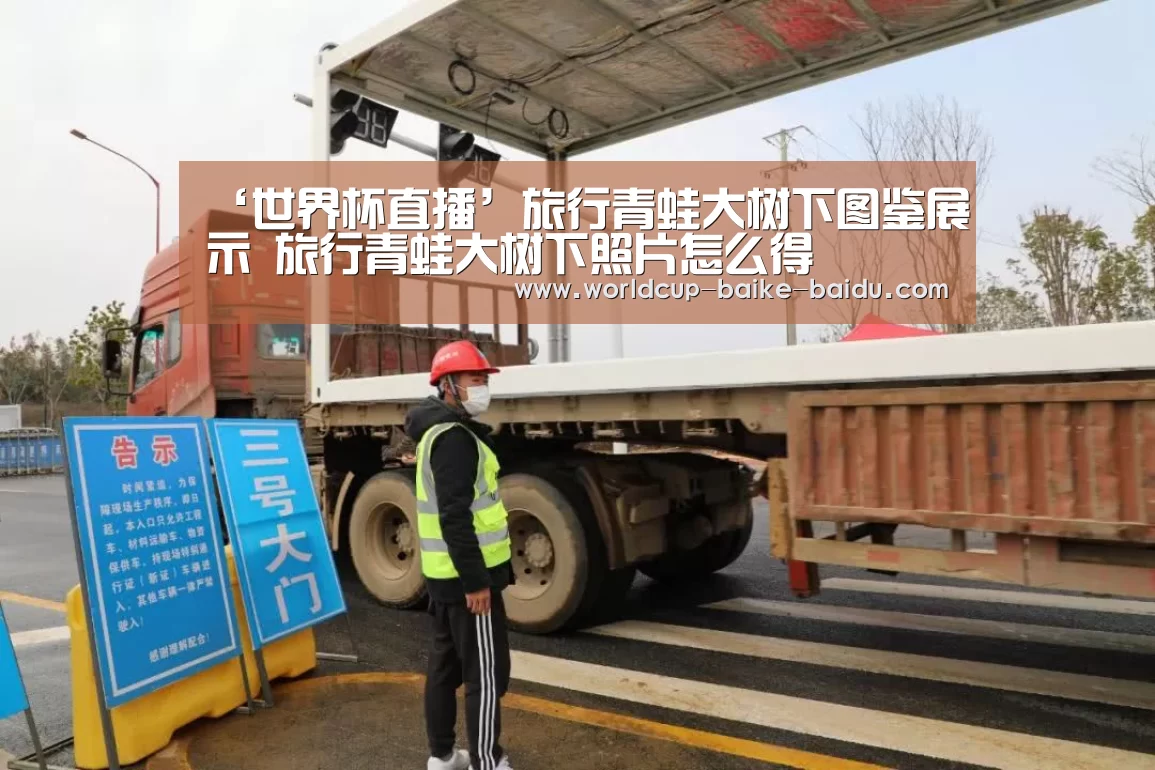 ‘世界杯直播’旅行青蛙大树下图鉴展示 旅行青蛙大树下照片怎么得(图2) 世界杯直播
