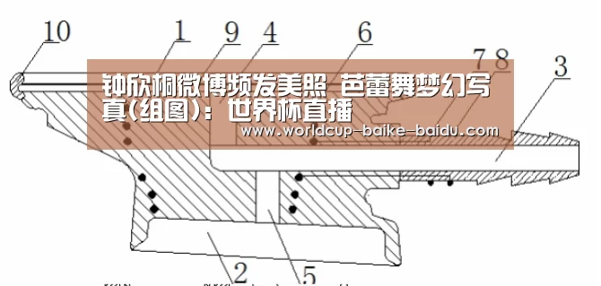 世界杯直播