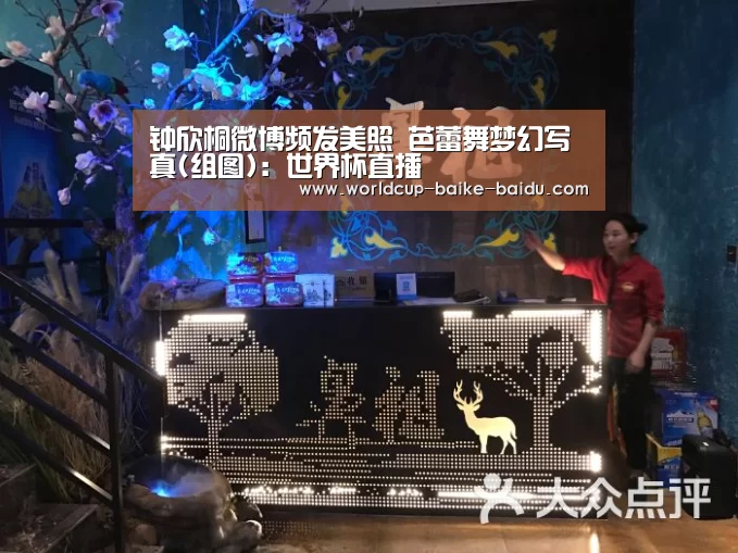 世界杯直播